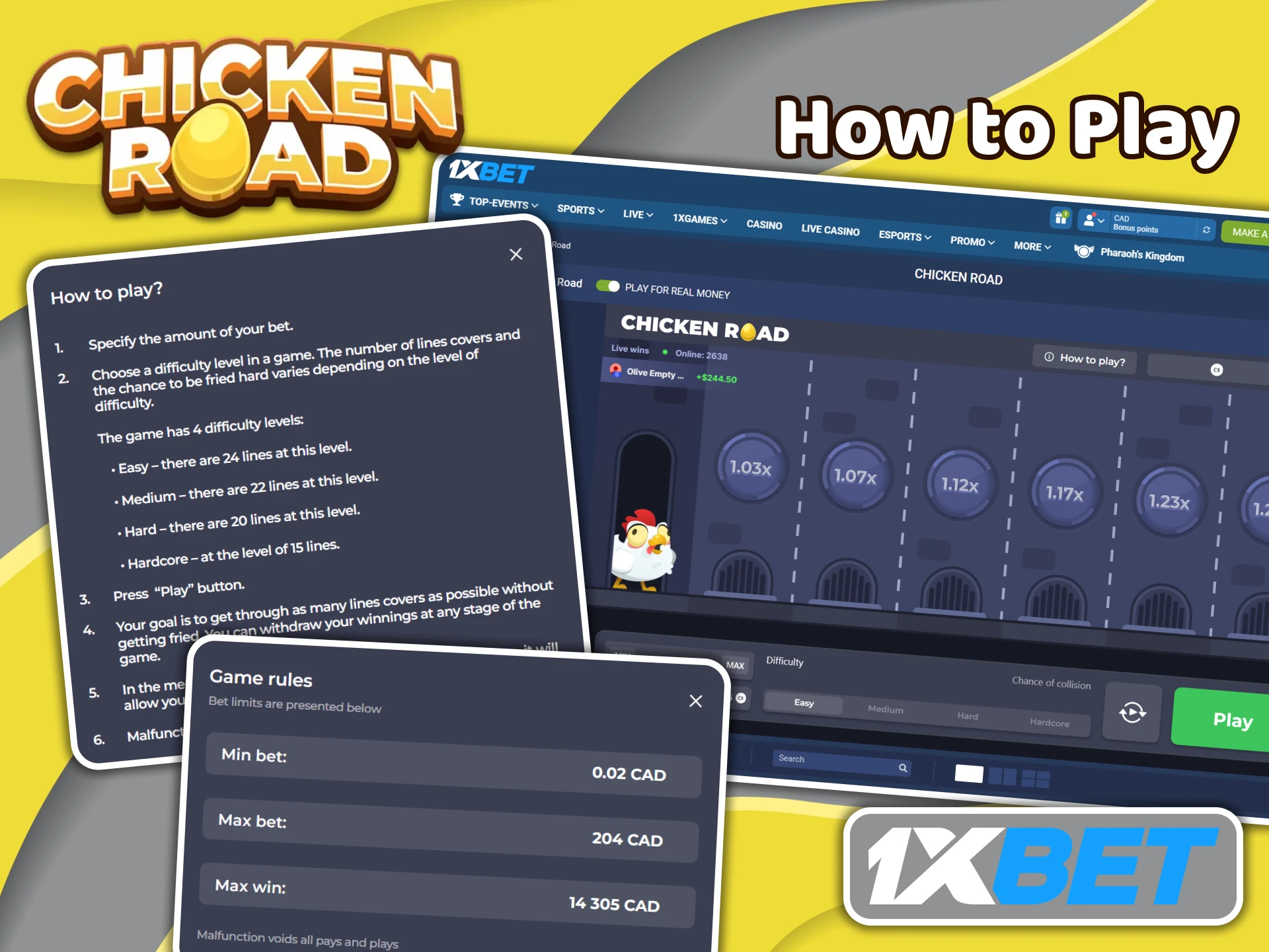 Check out the Chicken Road game rules on the 1XBet website.