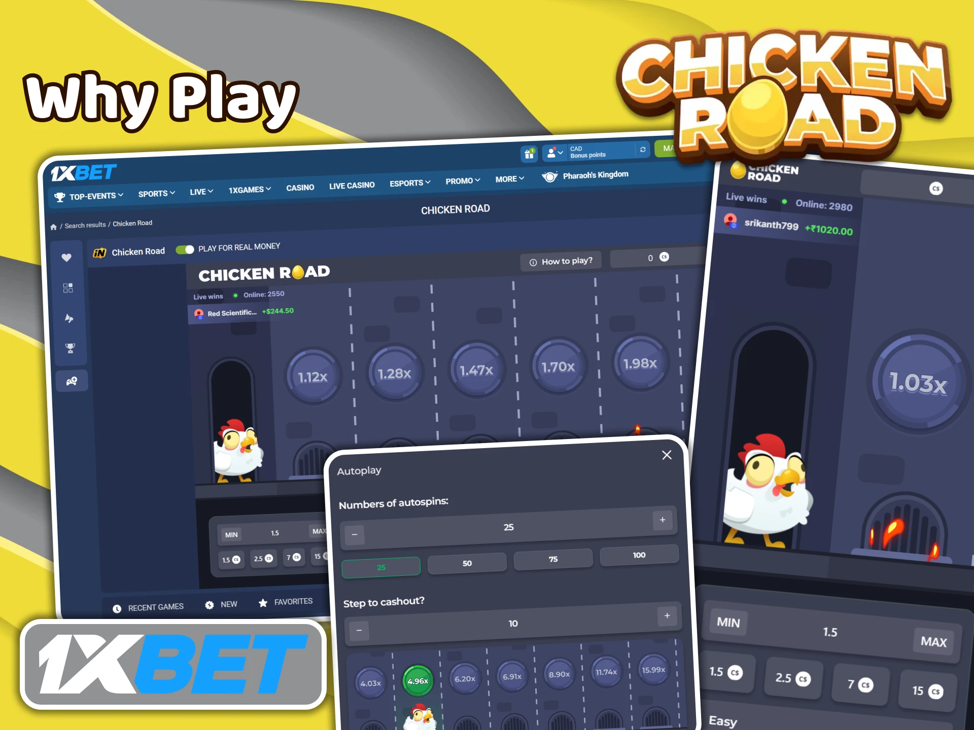 Learn why you should play Chicken Road on the 1XBet website.