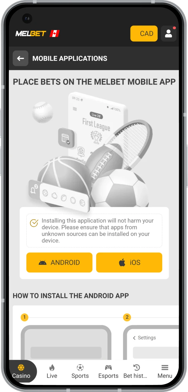 Find the application page on the official Melbet website.